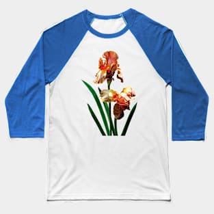 Irises - Bronze-Colored Irises Baseball T-Shirt